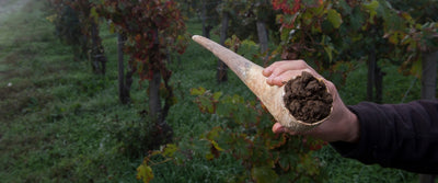 What is Biodynamic Wine? A Look into the Sustainable and Natural Winemaking Practice