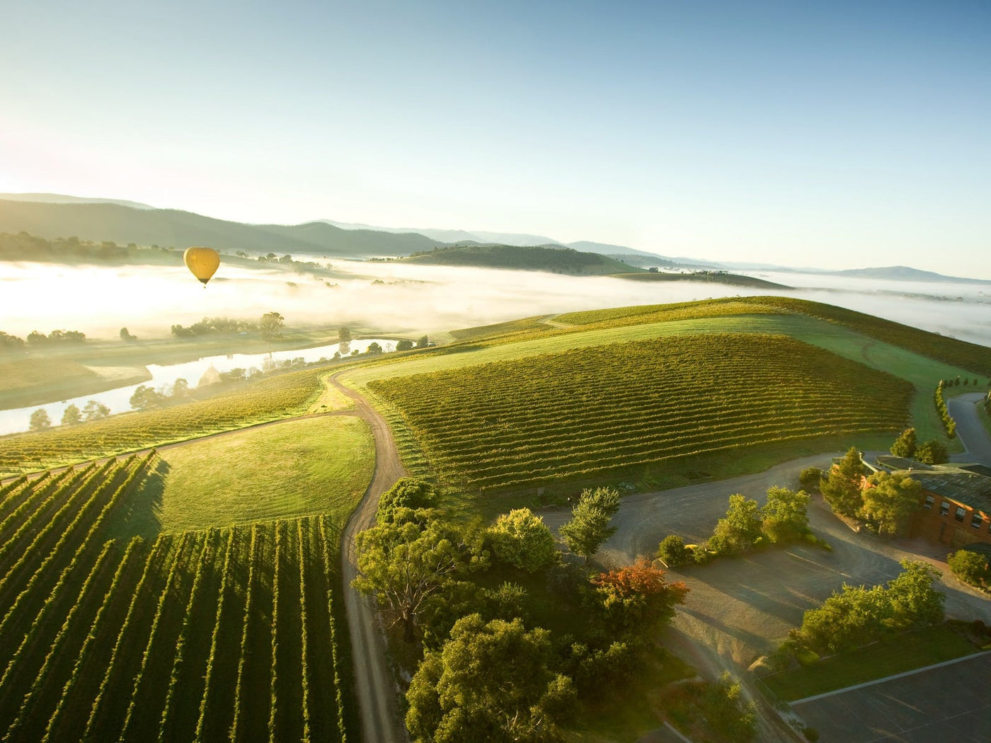 Discovering the Best Wines in the Yarra Valley: A Sommelier's Guide